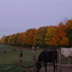 Herbst